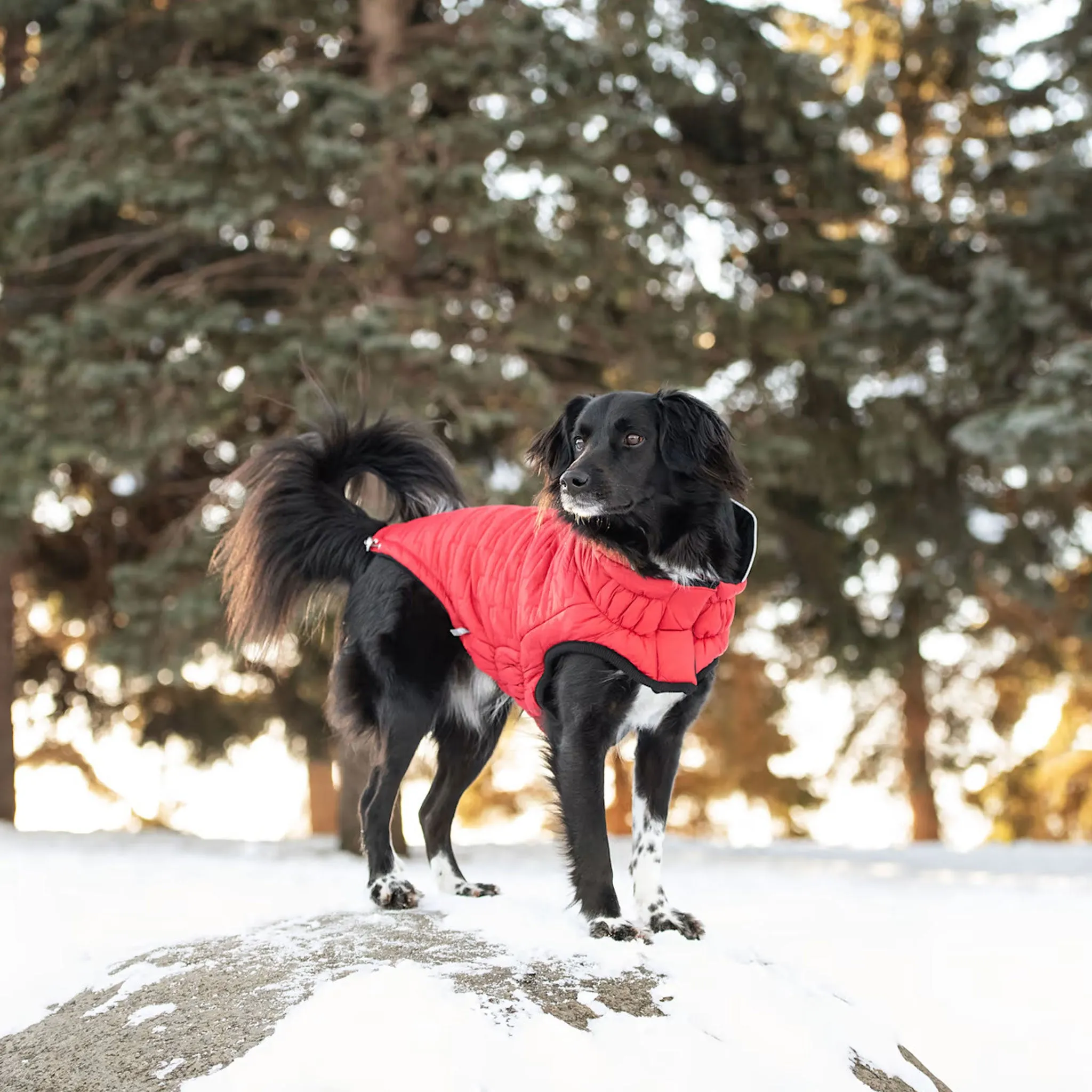 GF Pet Reversible Chalet Jacket - Red