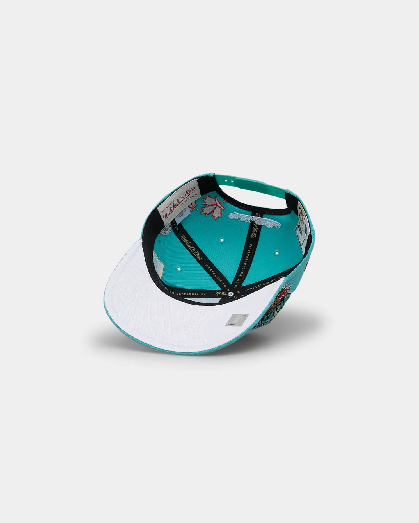 Mitchell & Ness Vancouver Grizzlies 'Highway' Pro Crown Snapback Teal